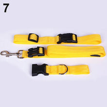 Load image into Gallery viewer, Attractive Traction Pulling Leash Pet Dog Running Jogging Convenient Safe Goods For Pets Harness Dog Accessories  Pet Carrier
