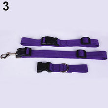 Load image into Gallery viewer, Attractive Traction Pulling Leash Pet Dog Running Jogging Convenient Safe Goods For Pets Harness Dog Accessories  Pet Carrier
