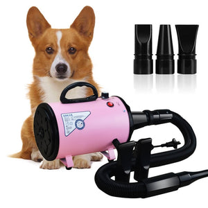 2000W 220V~240V Dryer Blower Variable Speed Portable Dog Cat Pet Blow Hair Low Noise Hairdryer Grooming Dryer Cheap Pet Hair Dry